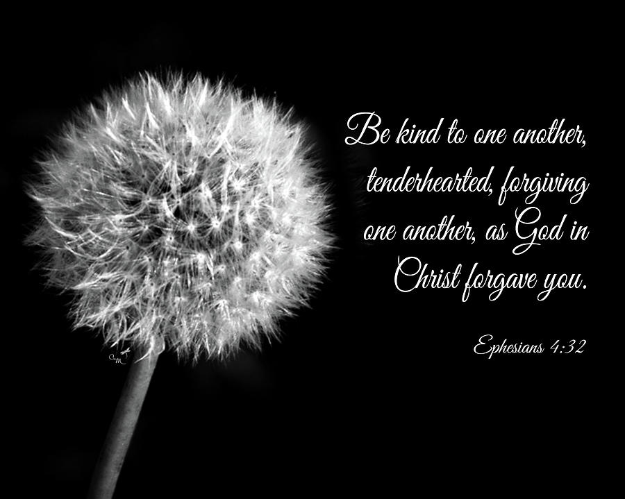 Dandelion with Scripture Photograph by Connie Mitchell - Fine Art America