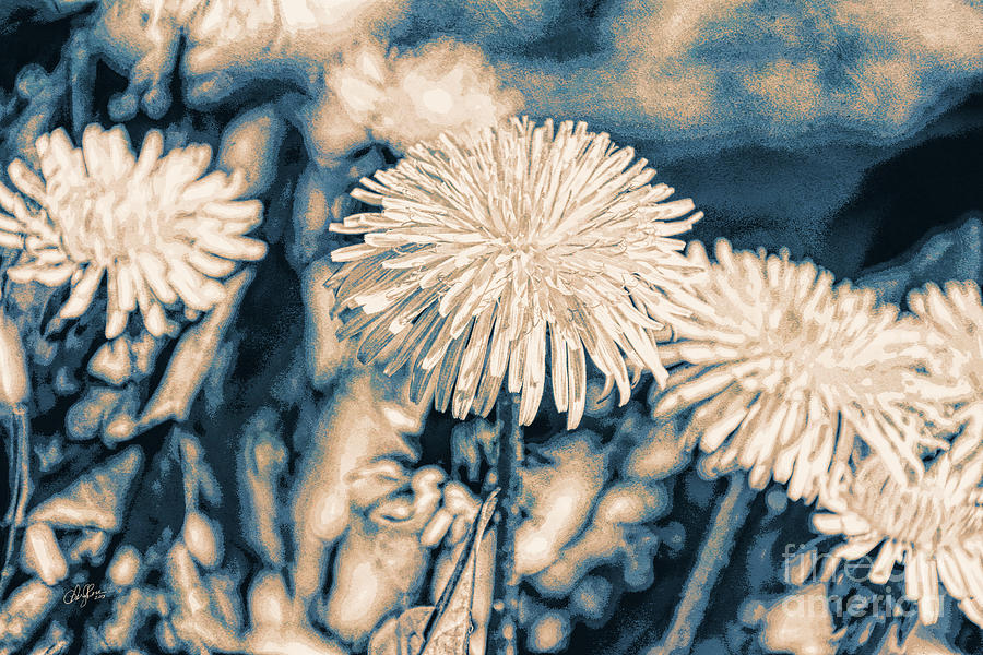 Dandelions in Moonlight Digital Art by Cheryl Rose