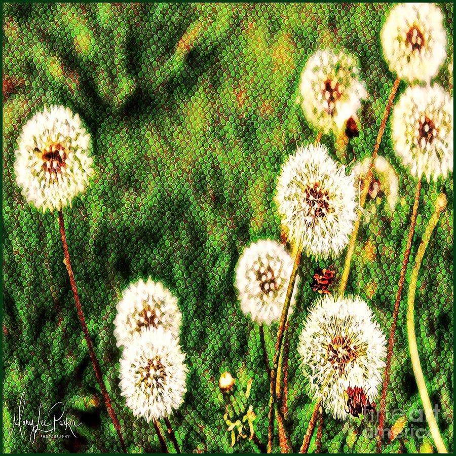  Dandelions In The Grass Digital Art by MaryLee Parker