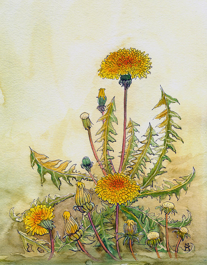 Dandelions Painting by Katherine Miller