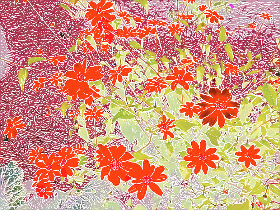 Flower Digital Art - Dandy Digital Daisies Aglow by Marian Bell