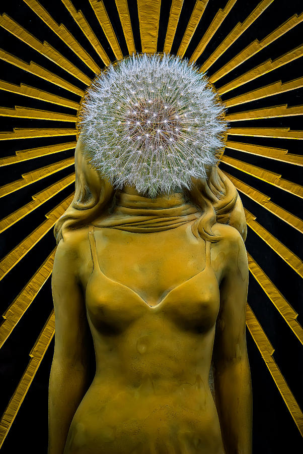 Dandy Girl by Harry Spitz Dandy Girl by Harry Spitz