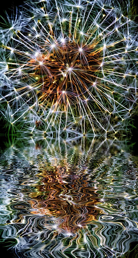 Dandy Universe - Paint - Reflection  Photograph by Steve Harrington