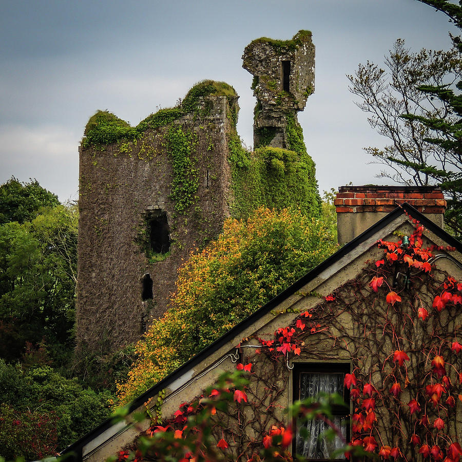 Dangan Castle in Ballynacally Photograph by James Truett