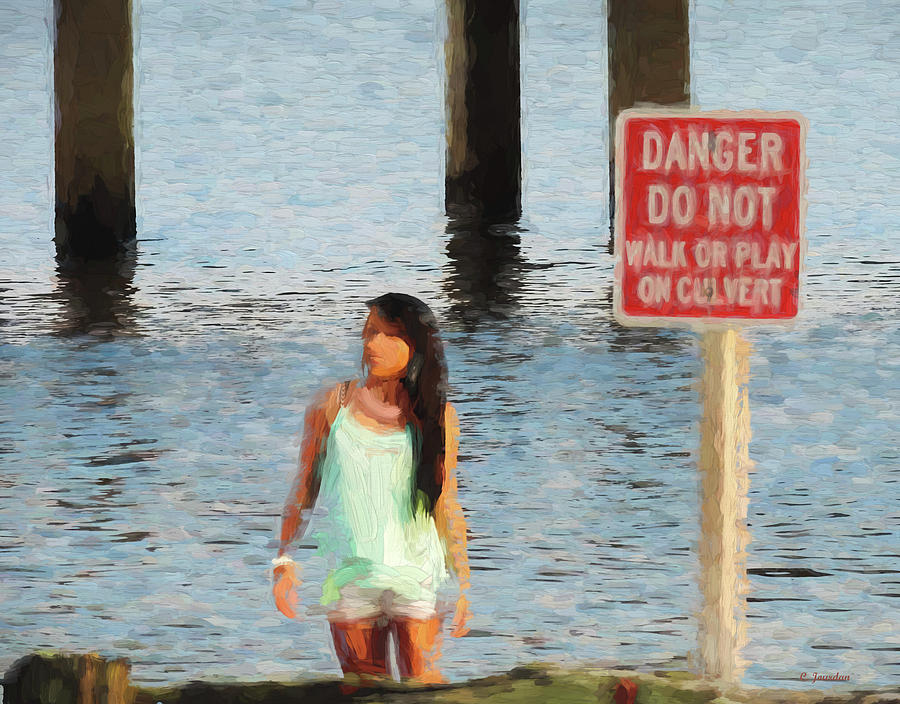 Danger by Cathy Jourdan Danger by Cathy Jourdan