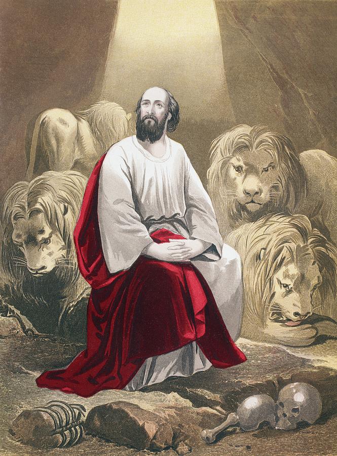 Daniel In The Lion S Den From The Holy Drawing by Vintage Design Pics ...