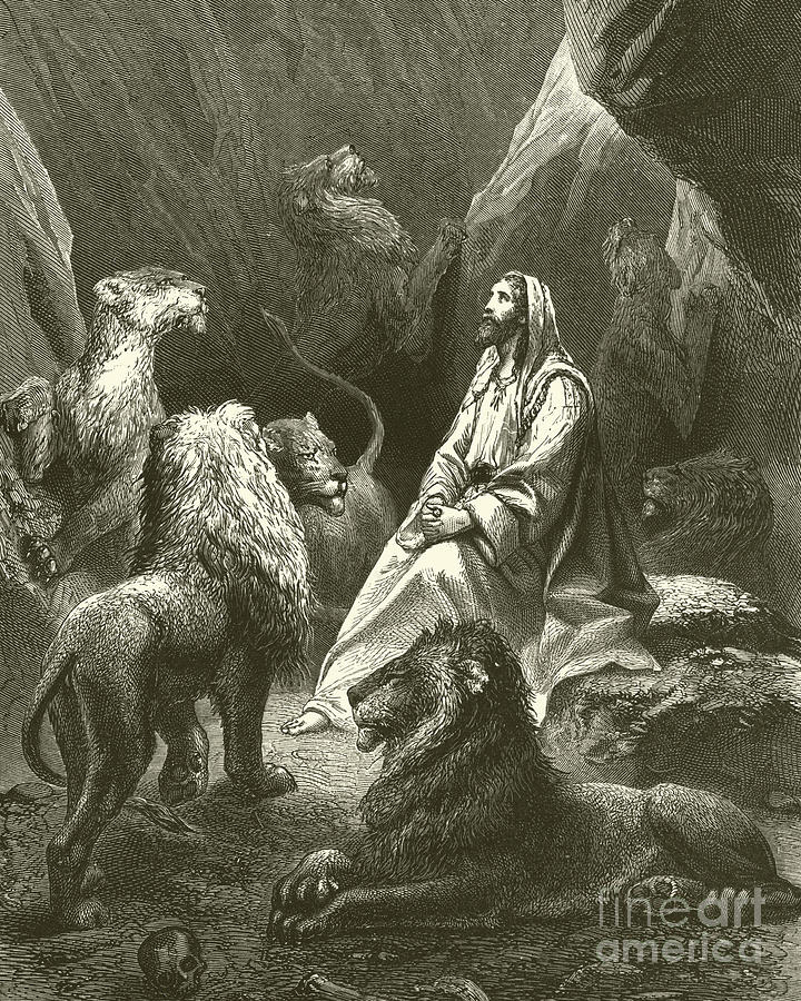 Daniel in the Lions Den Drawing by English School