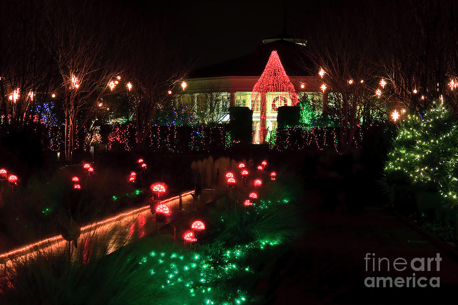Daniel Stowe Pavilion at Christmas Photograph by Jill Lang