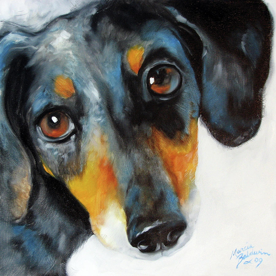 Dapple Doxie Painting by Marcia Baldwin