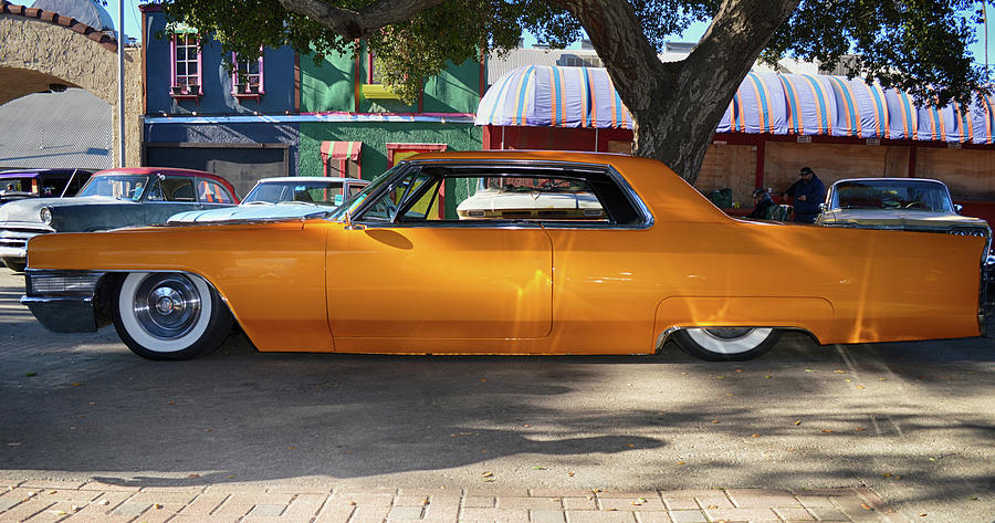 Dappled Cadillac Photograph by Bill Dutting
