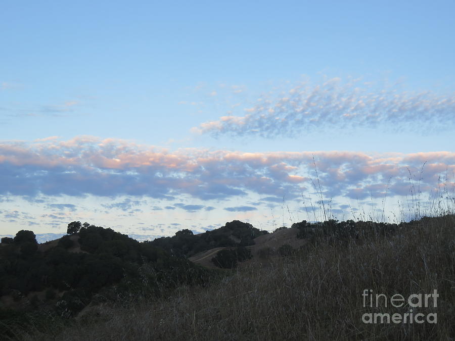Nature Photograph - Dappled clouds by Suzanne Leonard