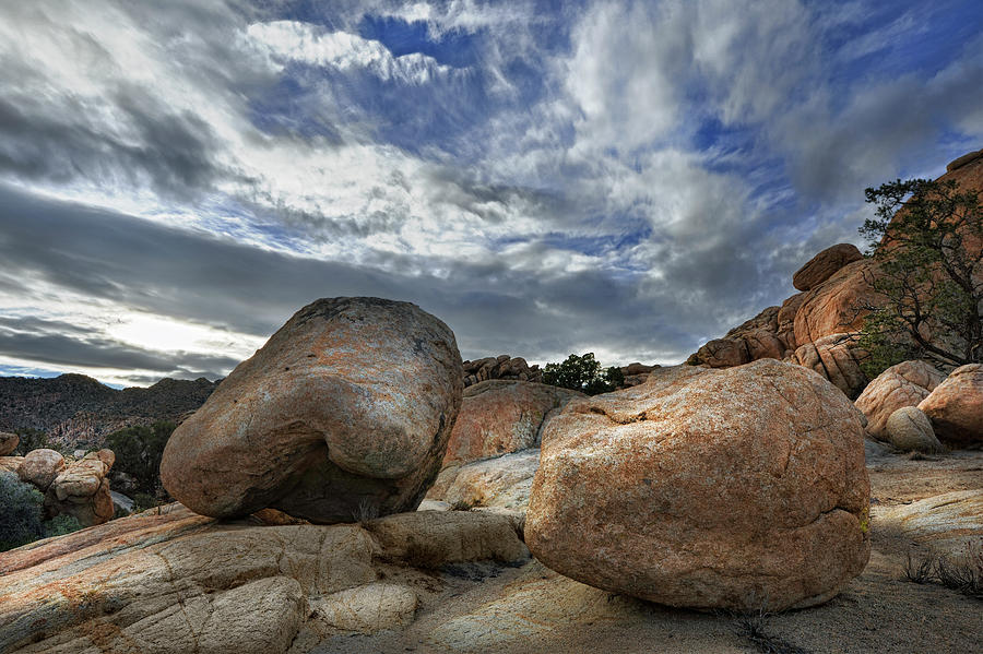 Dappled Light Photograph by Gary Zuercher | Fine Art America