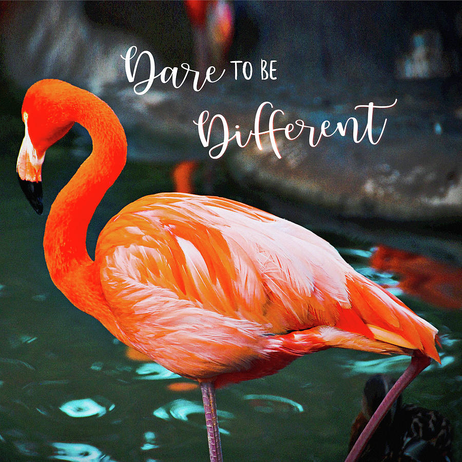 Flamingo Photograph - Dare to be Different Chic, Orange Pink Flamingo by Marcia Luce at Luceworks