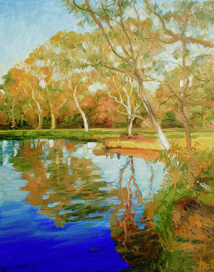 Darebin Wetlands Afternoon Painting by Dai Wynn