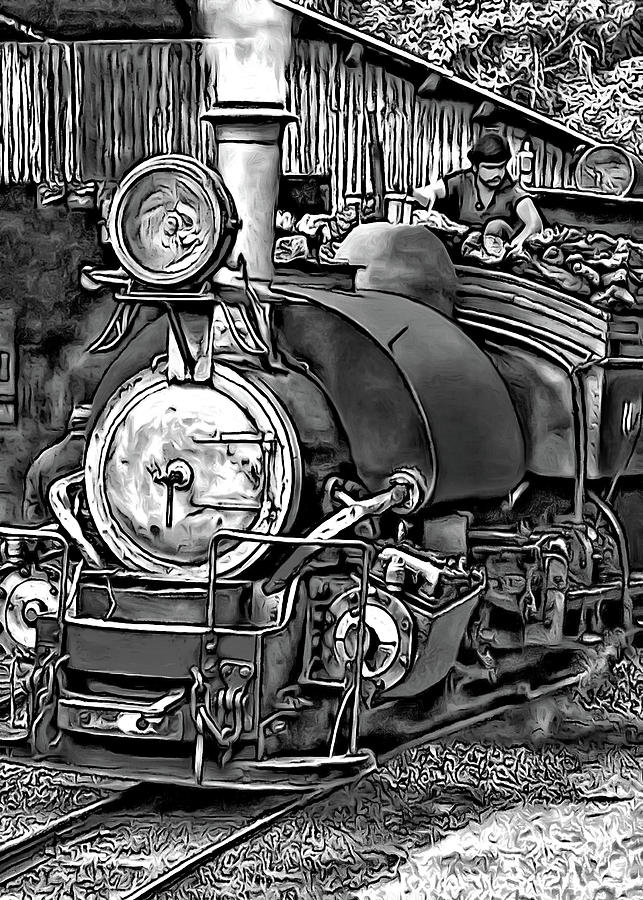 Darjeeling Toy Train bw Photograph by Steve Harrington