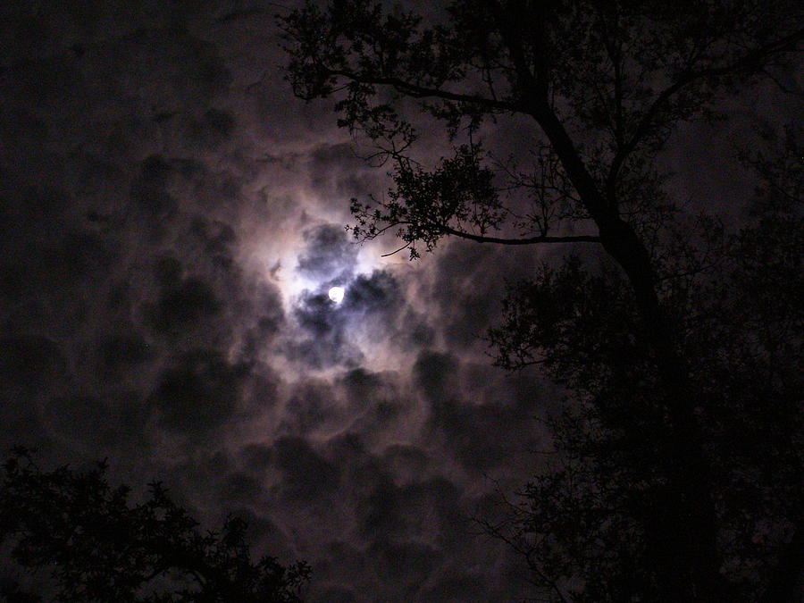 Dark and Stormy Night Photograph by Jim Cooper - Fine Art America