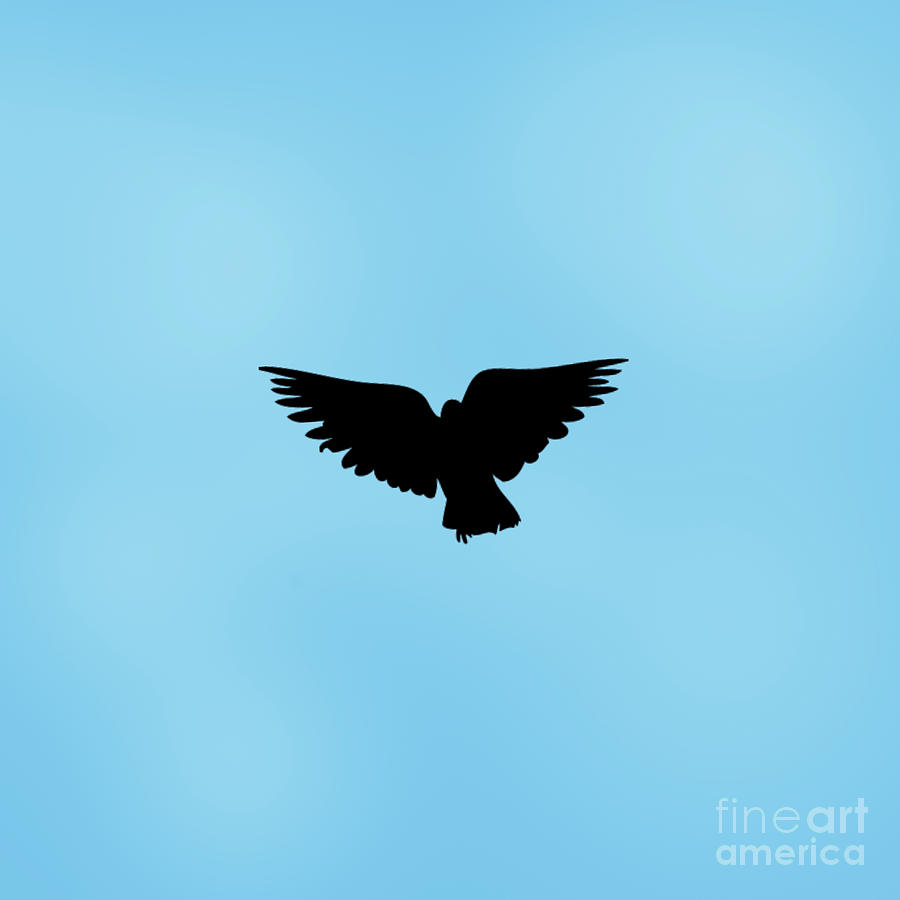 Dove Digital Art - Dark Angel by Linsey Williams