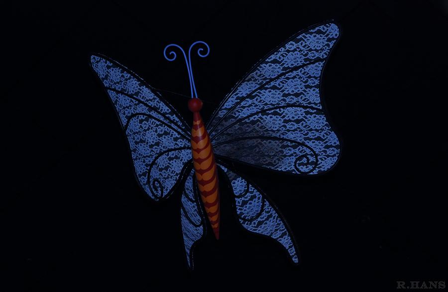 Dark Blue Butterfly Photograph by Rob Hans