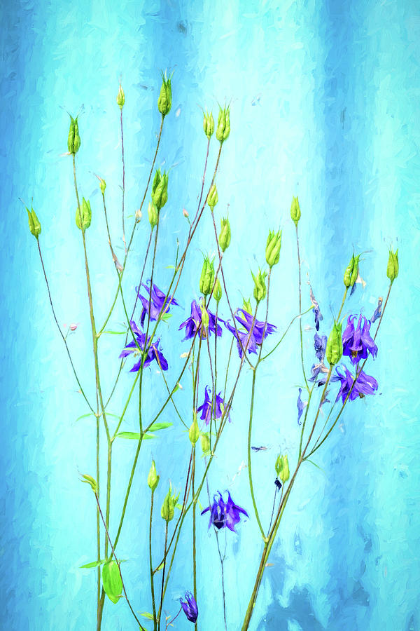 Dark Blue Delphinium Soft Oil Style Photograph by John Williams