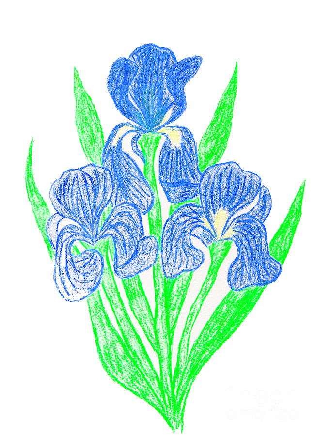 Dark blue irises Painting by Irina Afonskaya