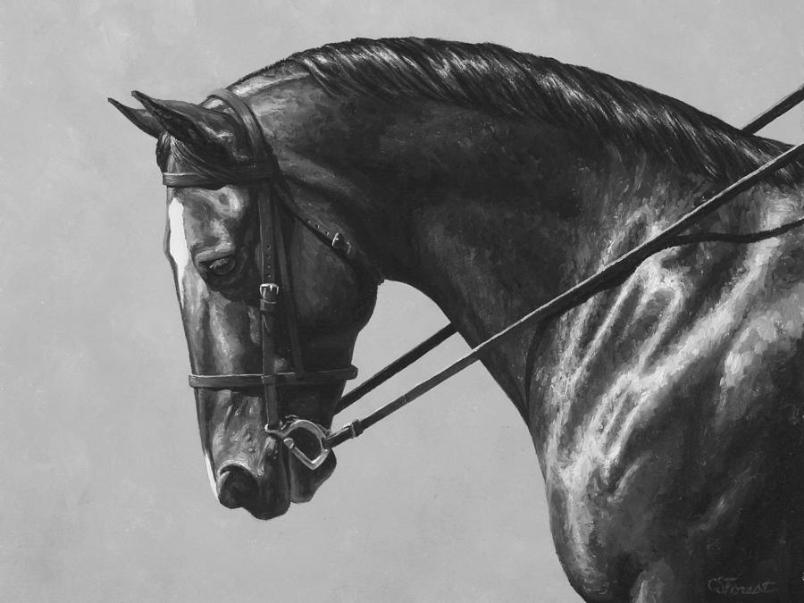 Dark Brown Dressage Horse Black And White Painting