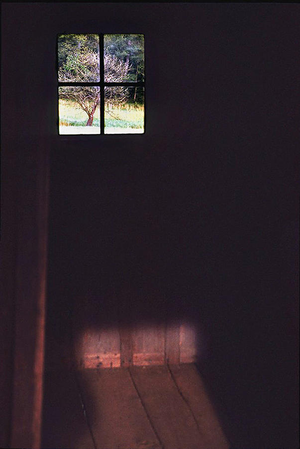 Dark Cabin Window Photograph by Ted Keller Dark Cabin Window Photograph by Ted Keller