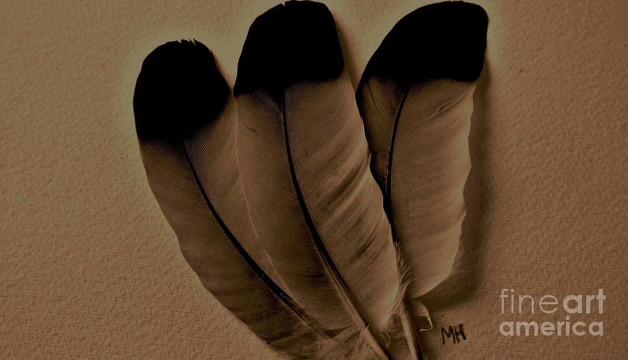 Dark Feathers Photograph by Marsha Heiken