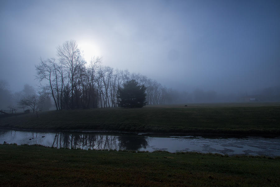 Tree Photograph - Dark Foggy Morning by Victoria Winningham