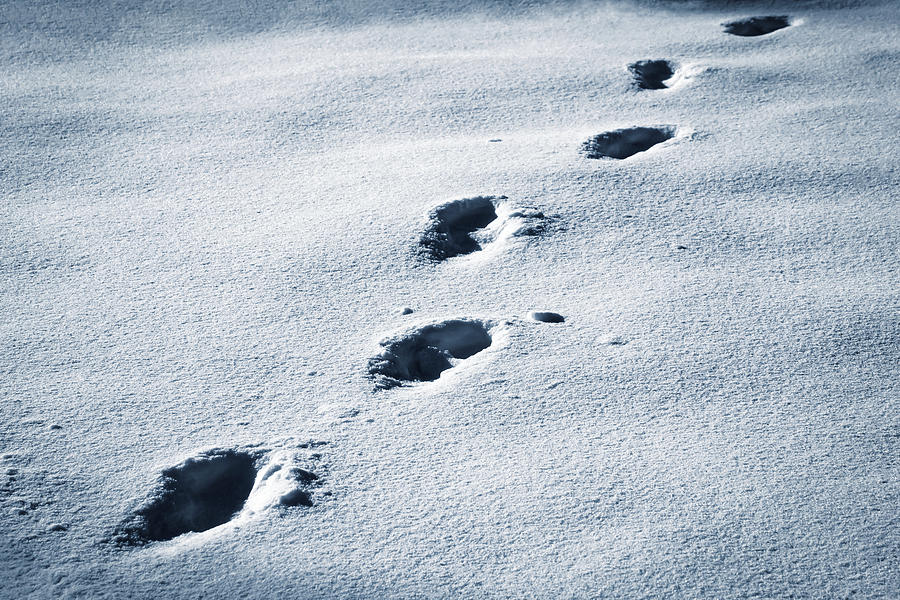 Dark Footprints Walking On Snow Photograph by Jozef Jankola - Fine Art ...