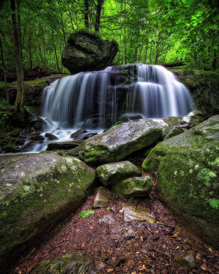 Dark Forest Falls Photograph by Alan Raasch