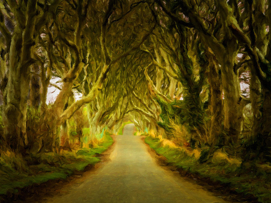 Dark Hedges road through old trees in digital oil Photograph by Steven Heap