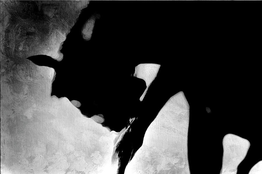 Dark Horse Photograph by Sandra Silva