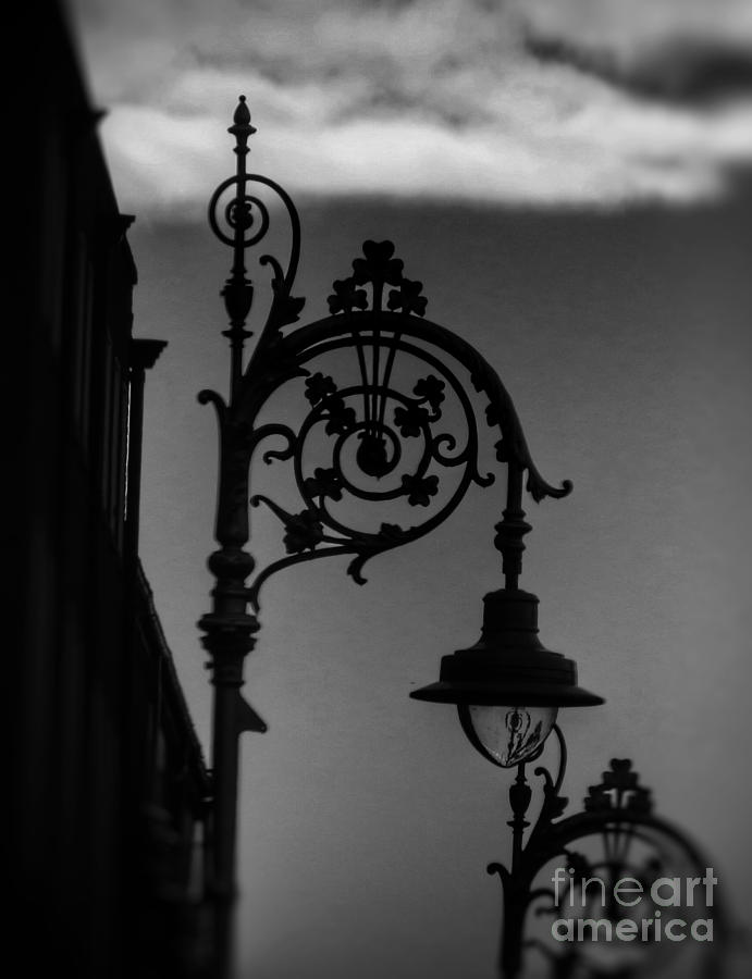 Dark light Photograph by Rrrose Pix