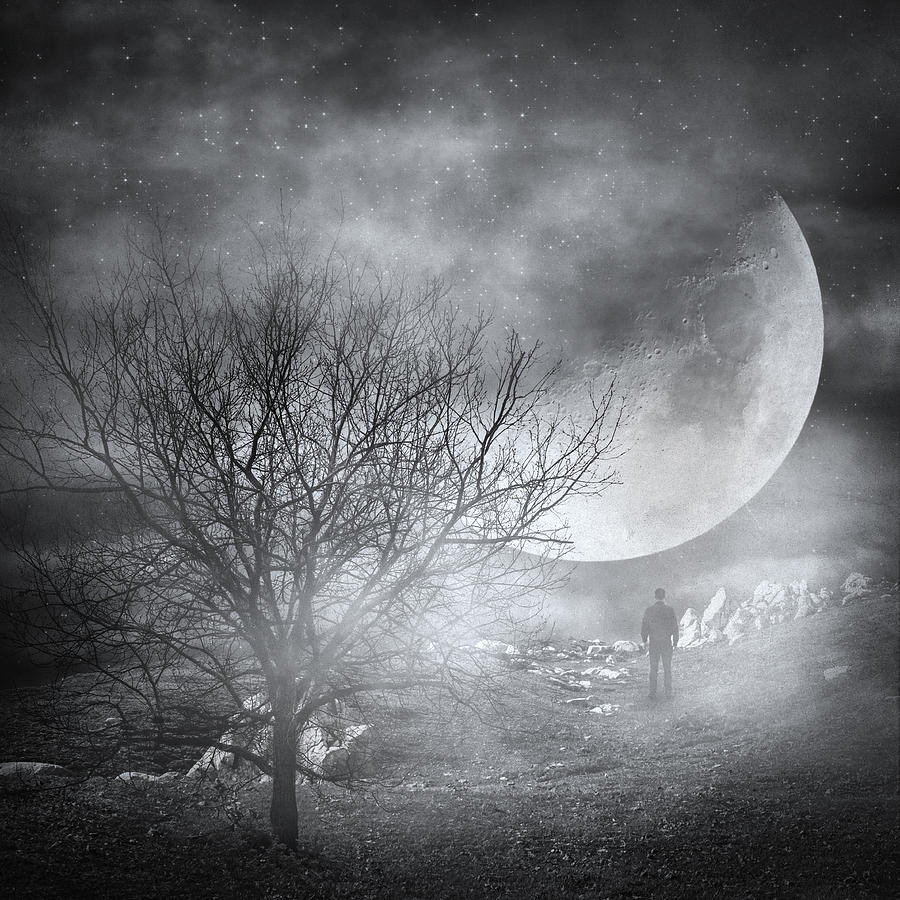 Dark night sky paradox Photograph by Zapista OU | Fine Art America