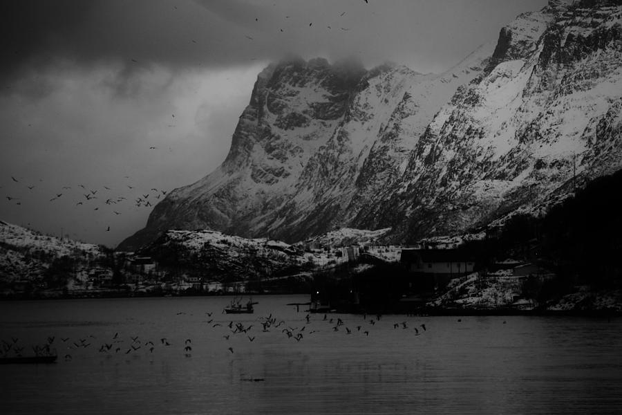 dark-north-norwegian-winter-fjord-photograph-by-david-broome-pixels