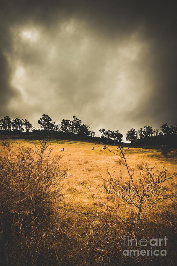 Dark overcast prairie Photograph by Jorgo Photography