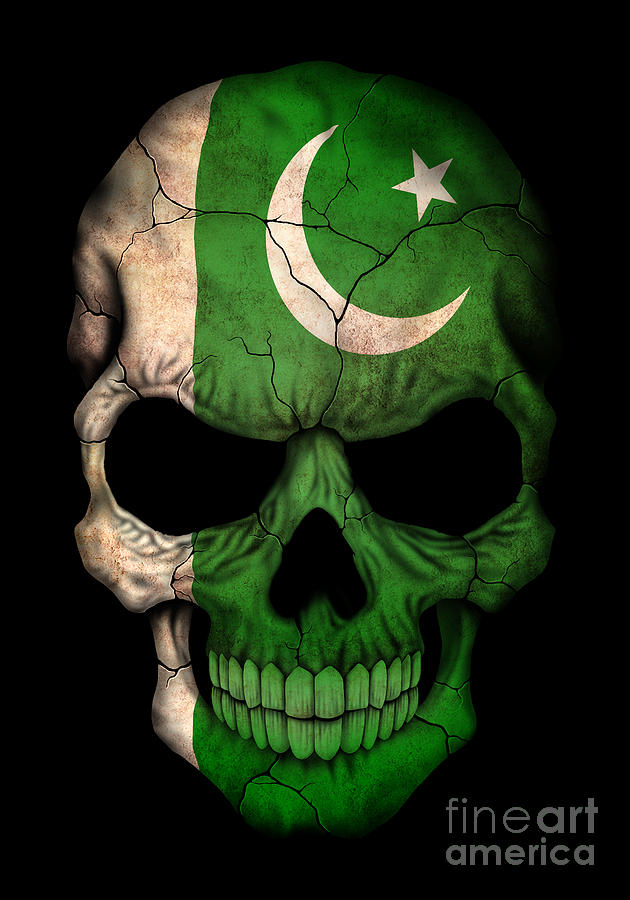 indsigelse Tropisk hævn Dark Pakistani Flag Skull Digital Art by Jeff Bartels - Pixels