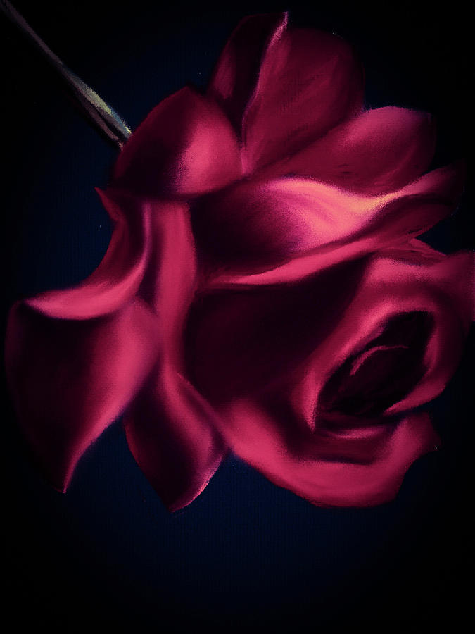 Dark Pink Rose Digital Art by Michele Koutris