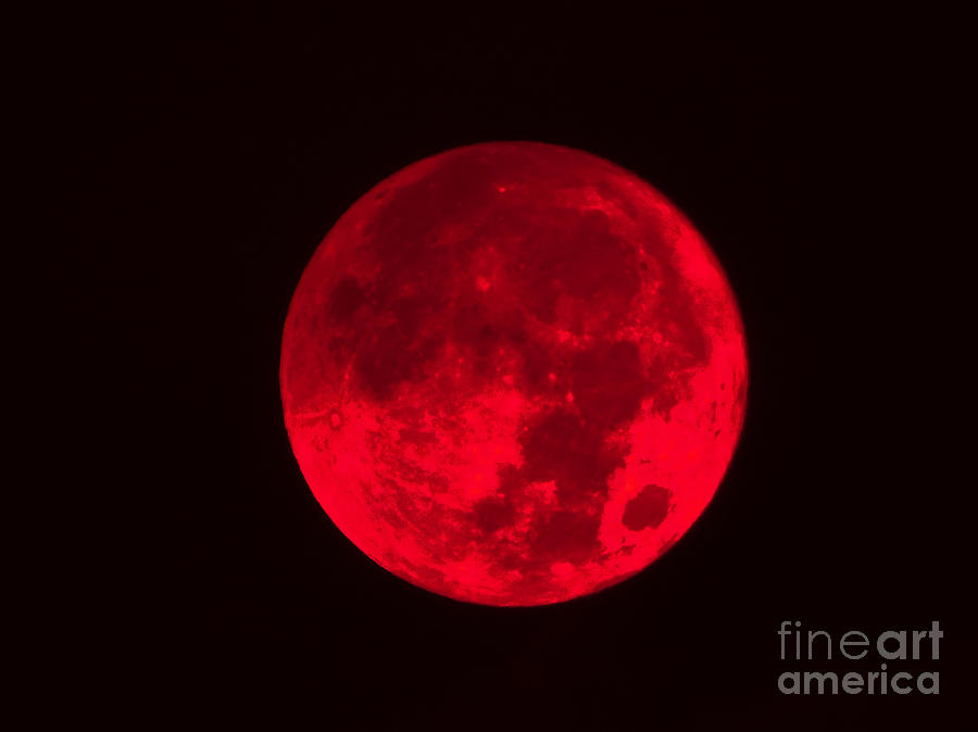 Dark Red Full Moon Photograph by D Hackett