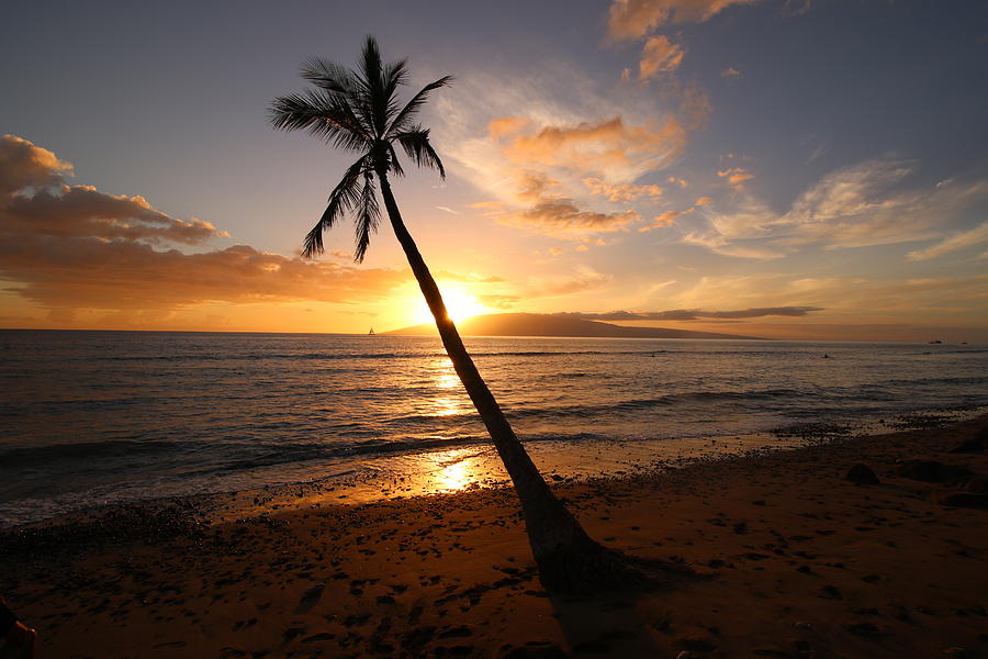 Dark Setting sun Photograph by Alan Lightfeldt | Pixels