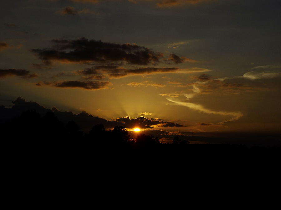 Dark Sunset Photograph by Julie Pappas