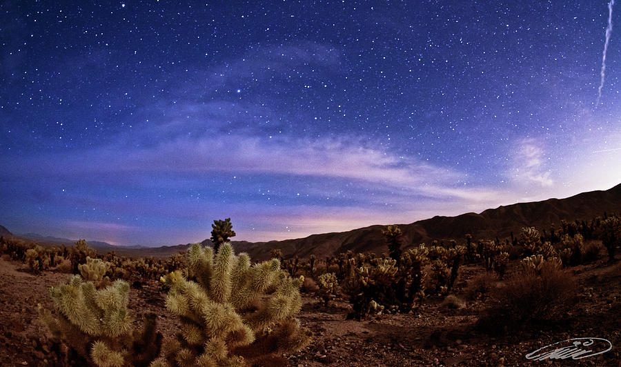 Dark Valley Photograph by Nicholas Miller - Fine Art America