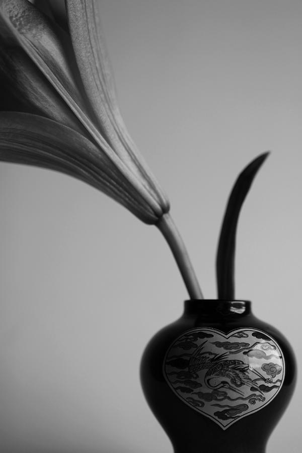 Dark Vase Photograph
