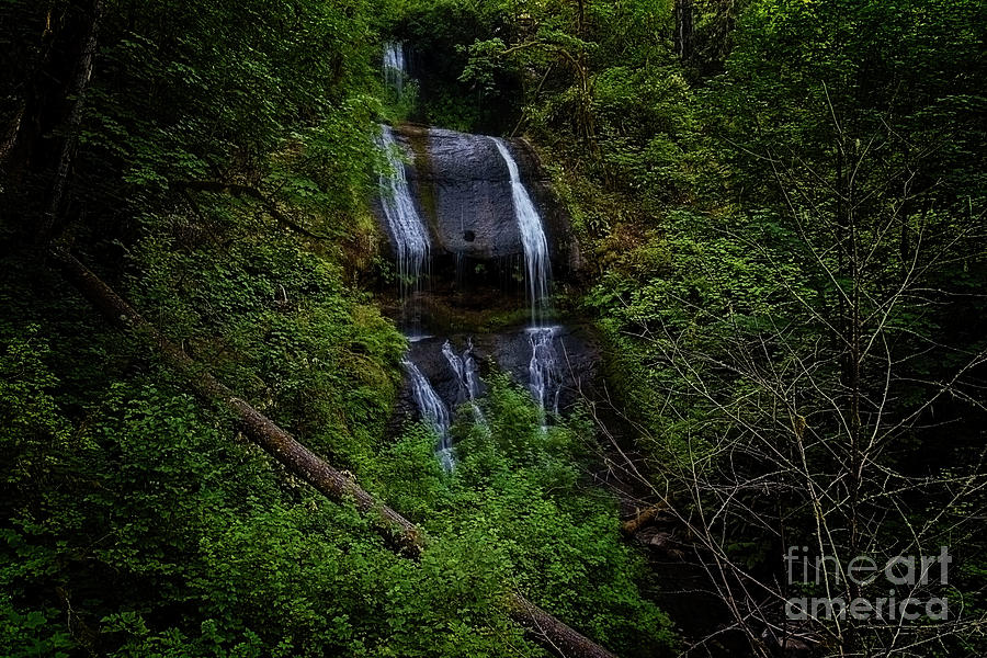 Dark Waterfall Photograph by Steve Triplett