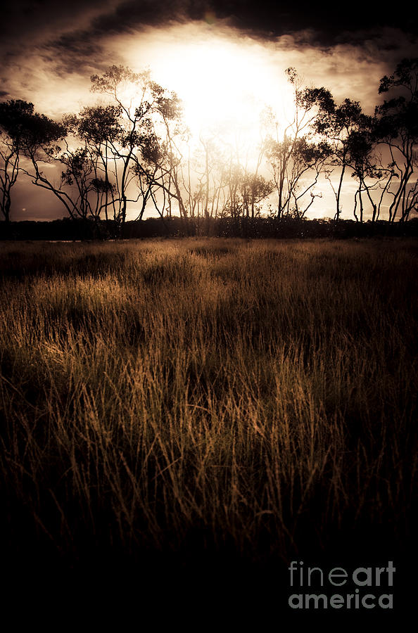 Dark Wetland Sunset Scene Photograph by Jorgo Photography