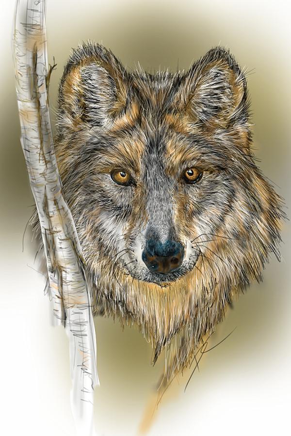 Dark Wolf with Birch Digital Art by Darren Cannell