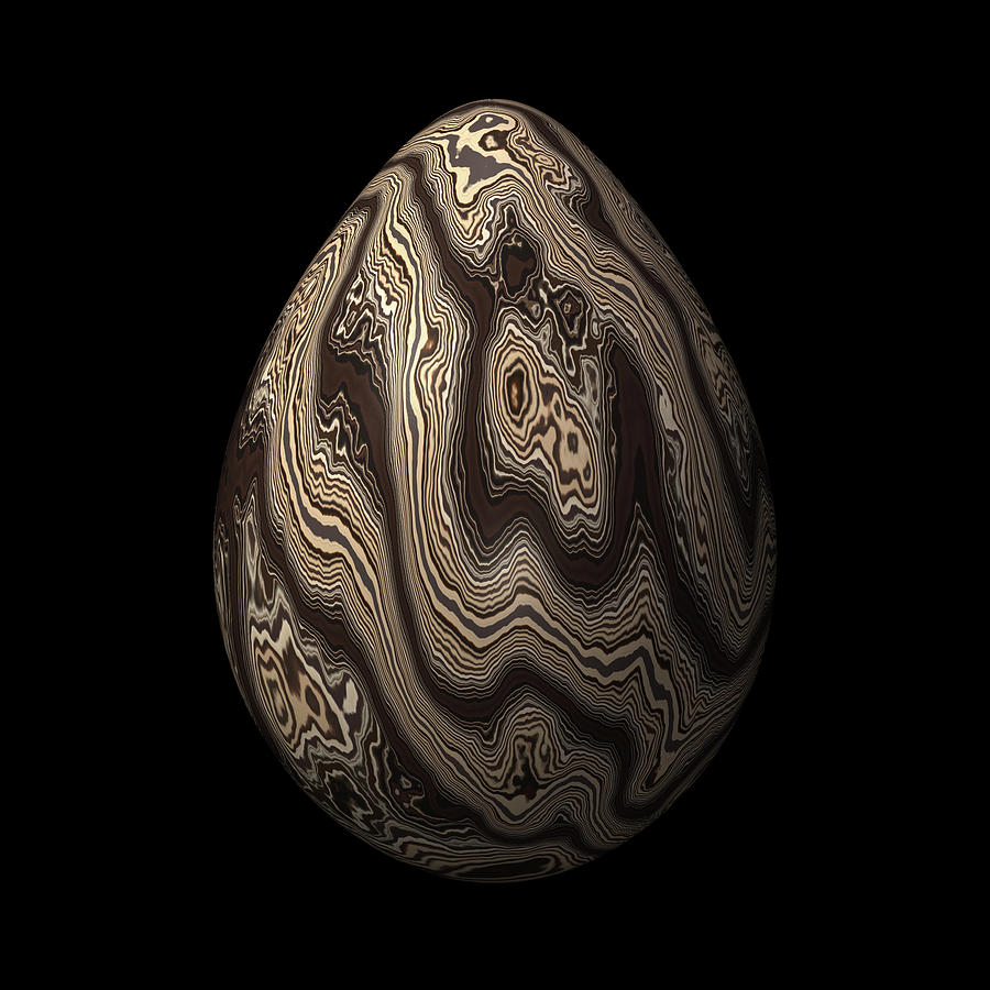 Dark Wooden Egg Digital Art by Hakon Soreide