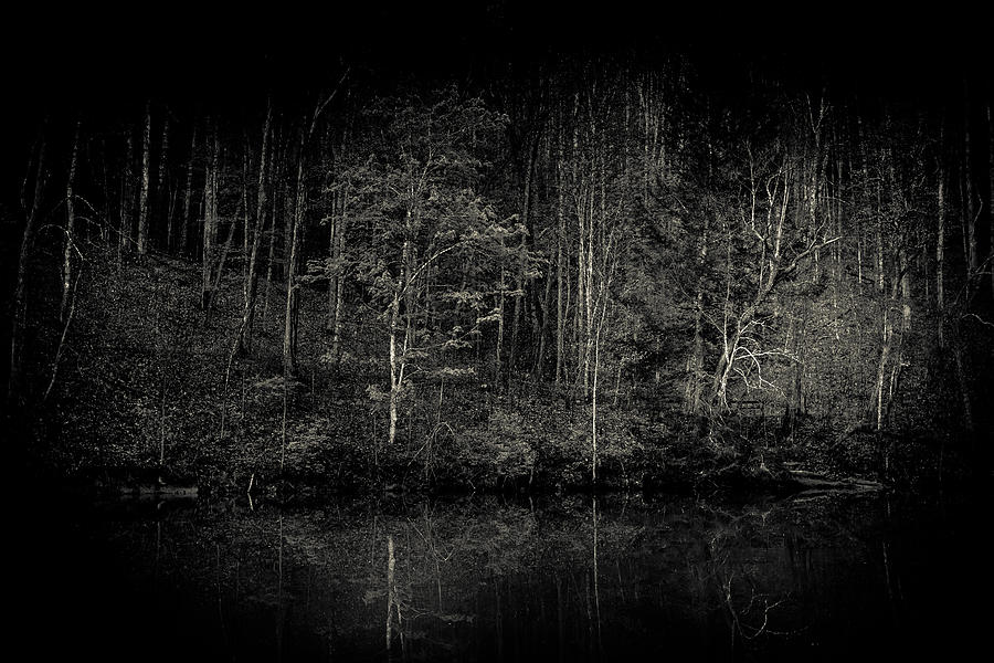 Darken Woods Photograph by Shane Holsclaw