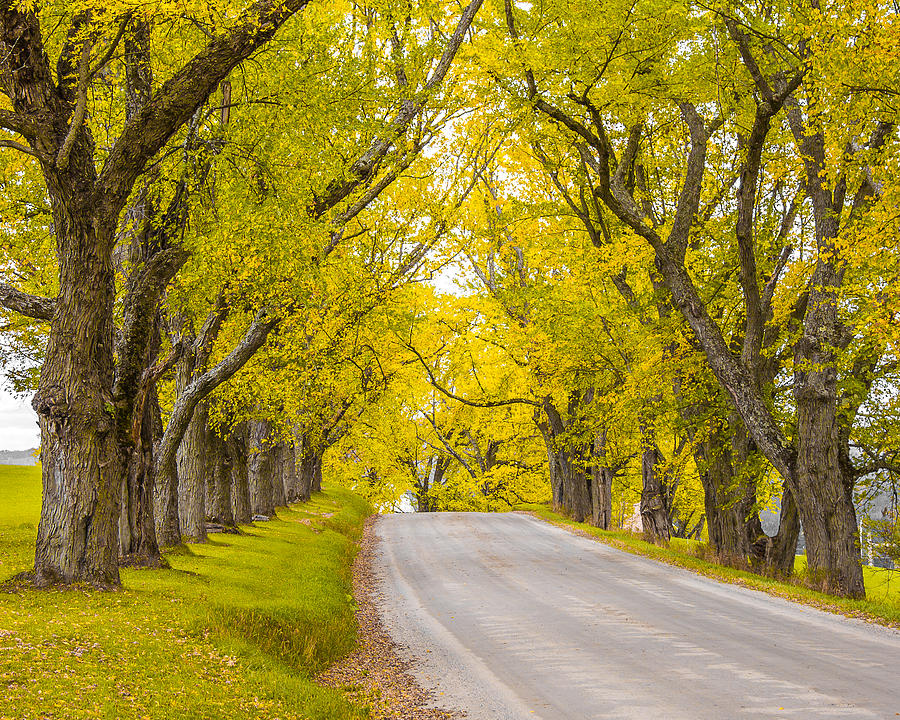 Darling Hill Autumn Photograph by Tim Kirchoff