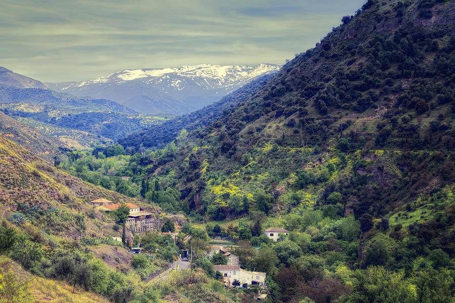 Darro River Valley Granada Photograph by Joan Carroll